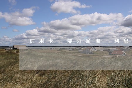 信用卡 部分逾期 利息 信用卡 部分逾期 利息